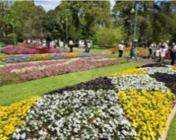 Toowoomba